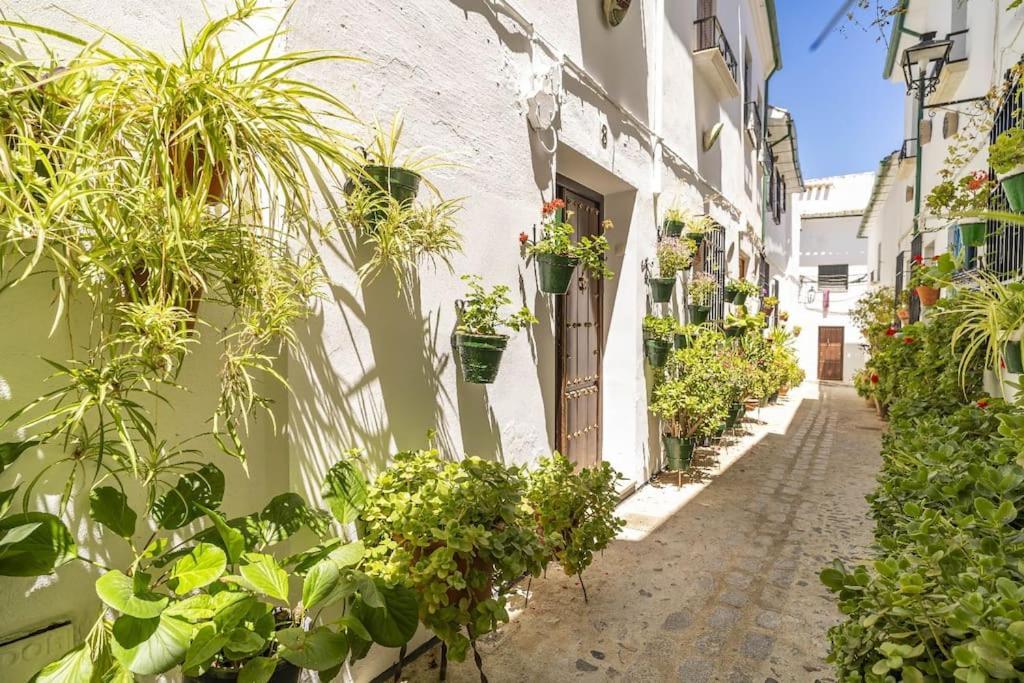 Casa Con Patio Y Terraza En Barrio Historico De La Villa, Junto Al Adarve 프리고드코도바 외부 사진